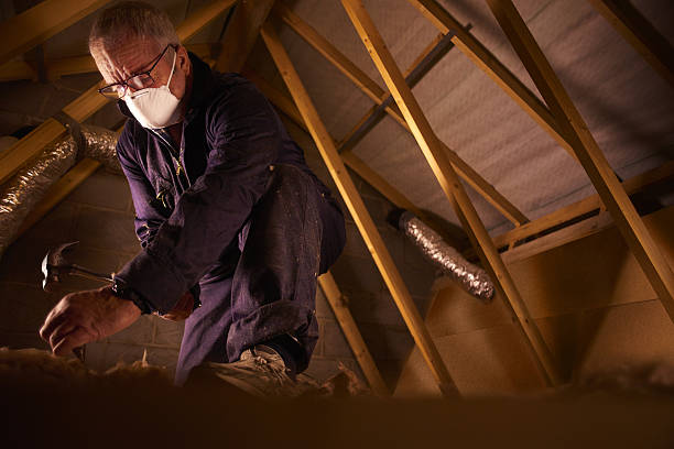 Best Insulation Installation Services in Clark Mills, NY